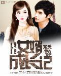 女婿