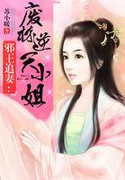 倾世狂妃·废材四小姐