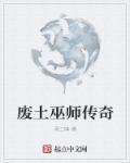 废土paro