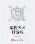 编程王子