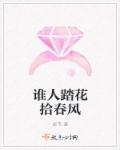 谁人踏花拾锦年 鸣佐