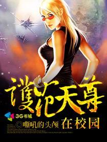护花高手在校园全本免费阅读
