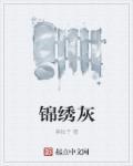 锦绣灰关山南北在线阅读