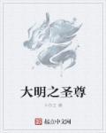 大明圣皇TXT