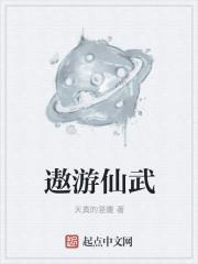 遨游仙武qq