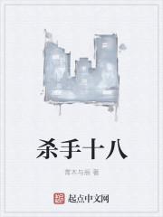 杀手13