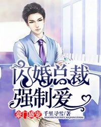 闪婚老公是豪门总裁