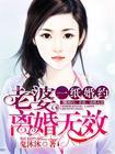 一纸婚约宠妻无度