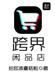跨界闲品店免费阅读