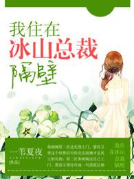 我住在冰山总裁隔壁 一苇夏夜