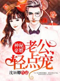神秘老公慢点吻免费阅读全文