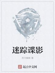 迷踪谍影笔趣阁txt