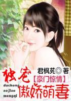 豪门闪婚独宠娇妻