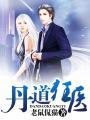 丹医狂婿战无双免费阅读