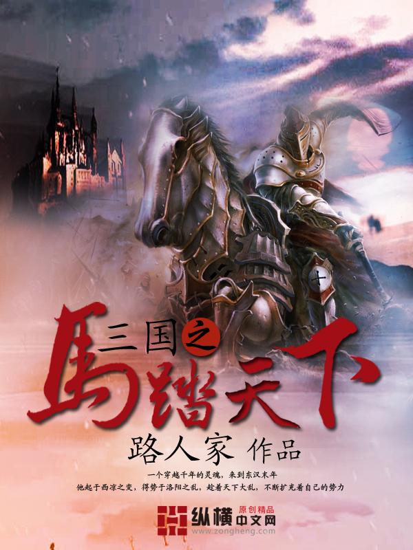 三国之马踏天下 陈风