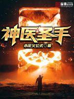神医圣手txt