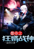叶锋洪青烟免费阅读