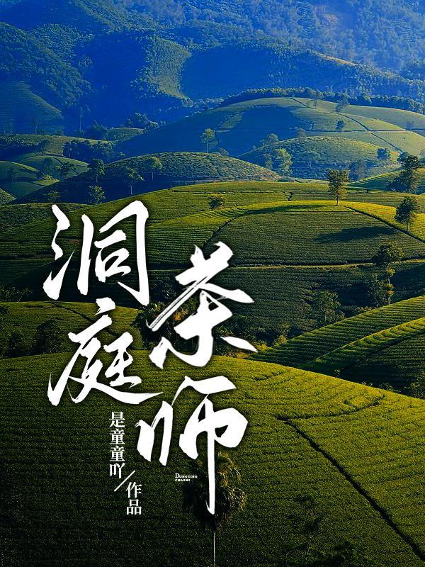 湖南洞庭春茶叶