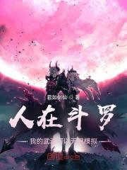人在斗罗开局武魂黑化