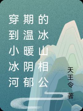 穿越到冰的背面