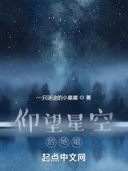 仰望星空这首歌