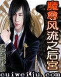 魔尊风流之后宫之类