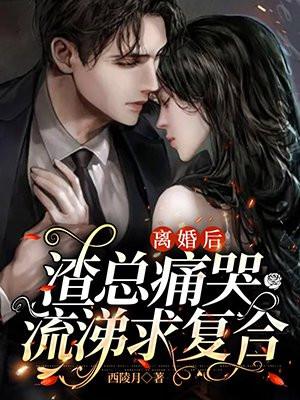 离婚后渣总追妻火葬场免费阅读