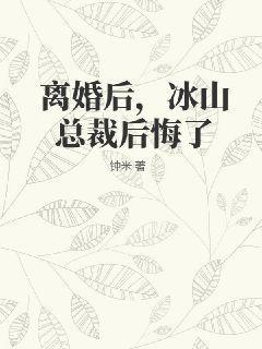 离婚后冰山总裁后悔了陆尘