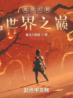 陪你到世界之巅 什么游戏