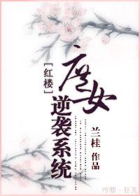 红楼炮灰攻略