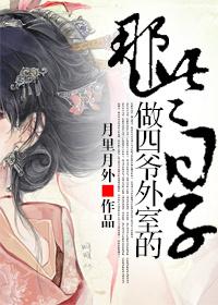 那些做四爷外室的日子无删减