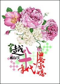 穿越八十年代农家媳作者臧白