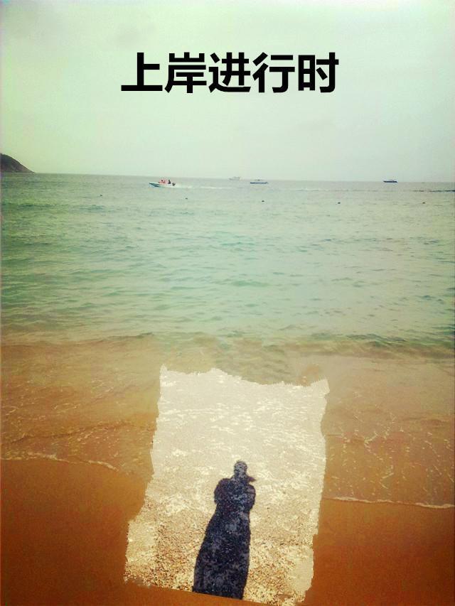 上岸是什么啥意思