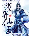 护界将军