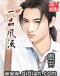 一品风流家丁