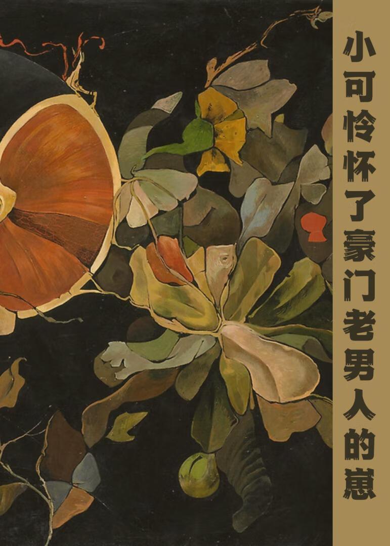 小可怜怀了豪门老男人的崽TXT