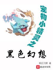 宠物小精灵黑暗