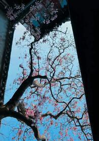 公主只想睡遍后宫男生子nph