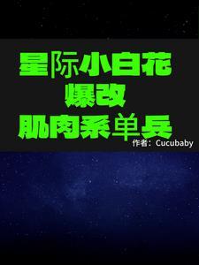 星际小白机器人