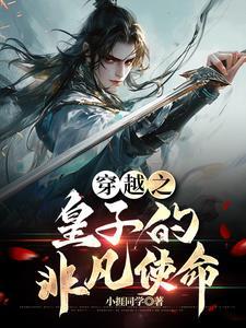 主角穿越皇子的