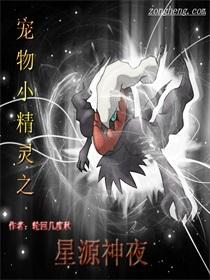 宠物小精灵之星尘龙