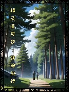 精灵宝可梦·旅途