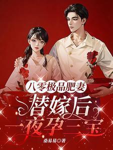 替嫁后一夜孕三宝南向晚