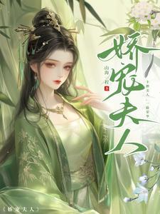 娇宠夫人TXT资源