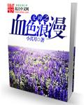 血色浪漫1电视剧全集32免费观看