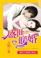 盛世暖婚顾少的二嫁