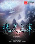 魂灵役主多少钱