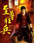 至尊狂兵TXT