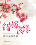 错嫁良缘续之真假公主