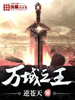 万域之王司空错结局